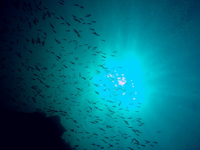 d0175710_2257730.jpg