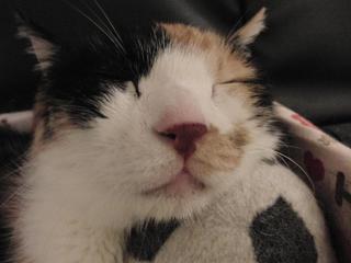 c0201113_2022075.jpg