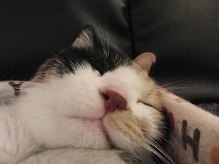 c0201113_2025784.jpg