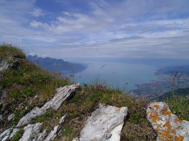 a0030714_7242667.jpg