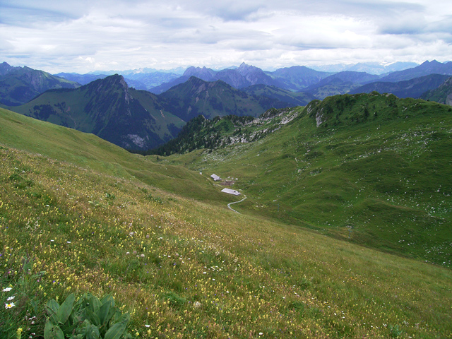 a0030714_725270.jpg