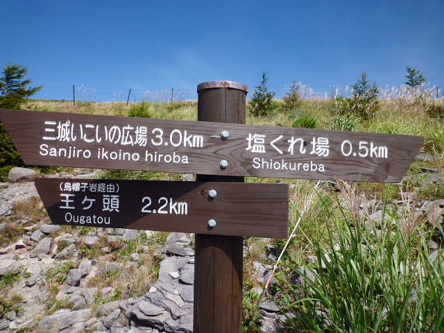 d0170615_9191448.jpg