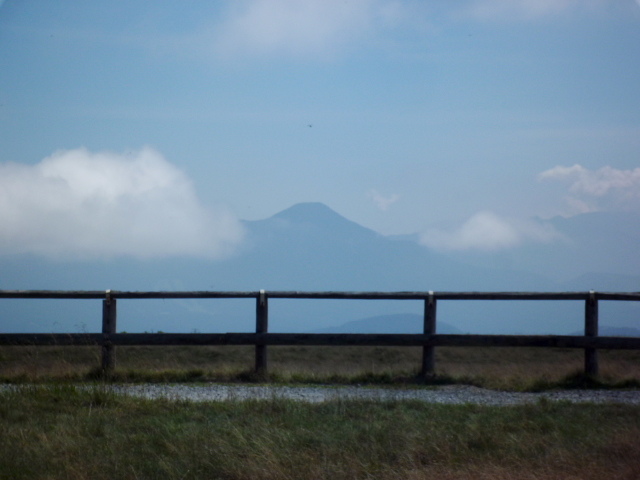 d0170615_9211590.jpg