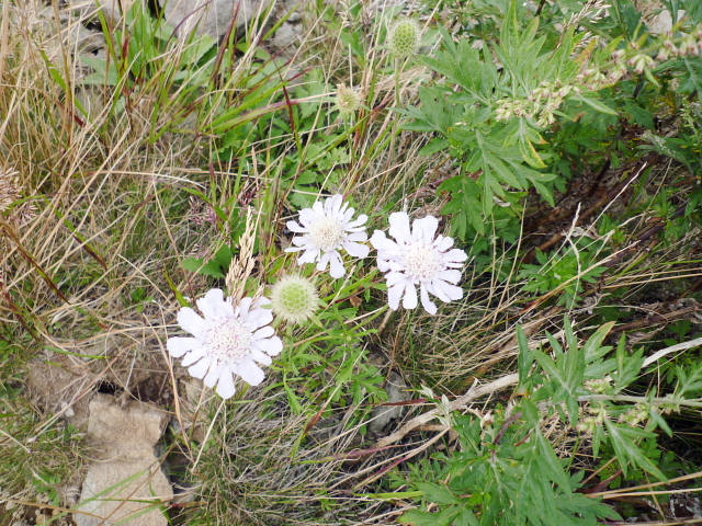 d0170615_9231926.jpg