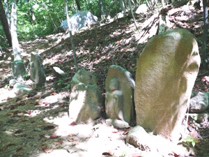 e0097615_1552034.jpg