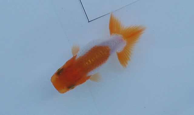 c0162817_2156954.jpg