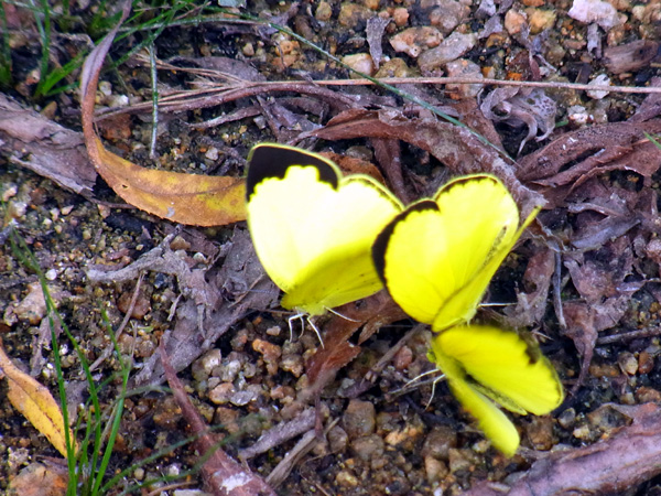 e0083517_1312181.jpg
