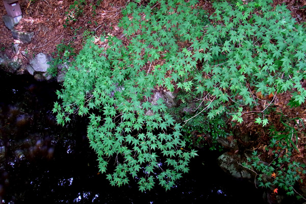 e0083517_1324096.jpg