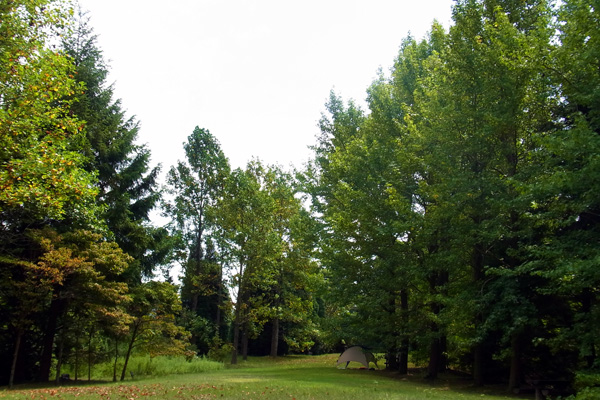 e0083517_1343414.jpg