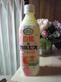 c0133821_0373566.jpg