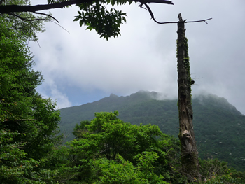 c0013324_19295823.jpg