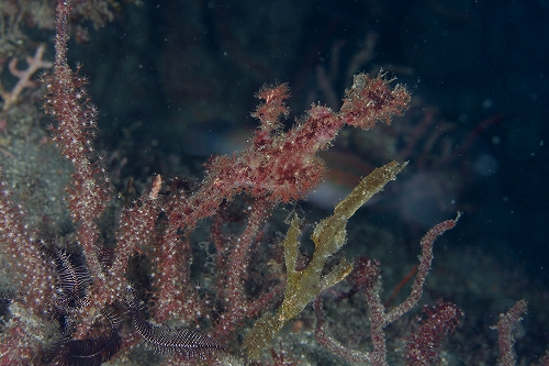 f0206424_13495253.jpg