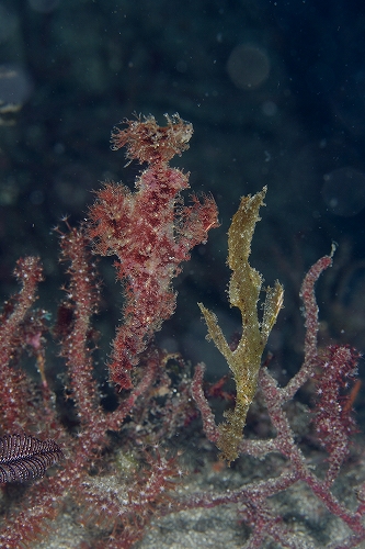 f0206424_1491693.jpg