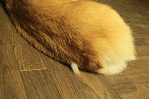 e0071225_2361755.jpg