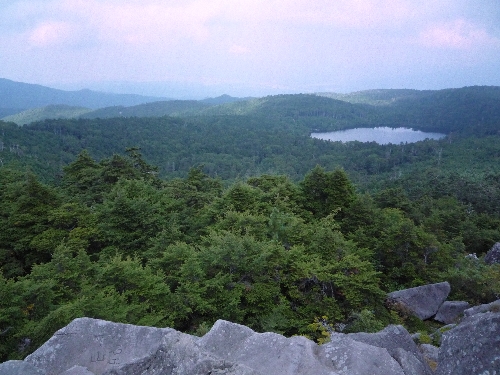 b0069126_21353888.jpg
