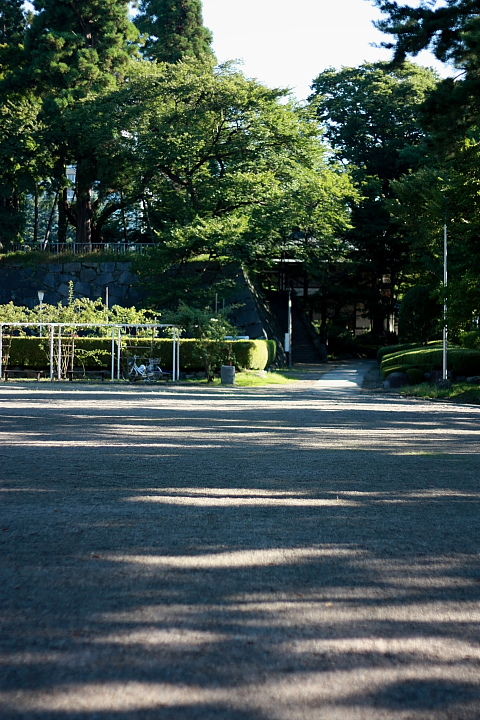 f0166032_13542667.jpg