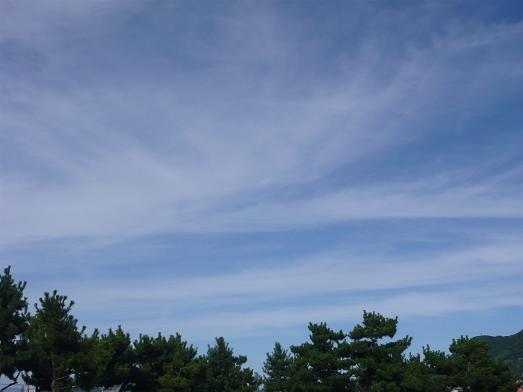 b0164533_139912.jpg