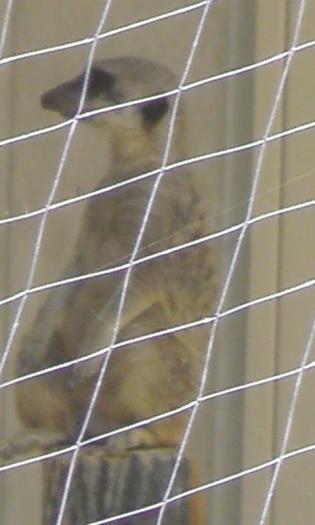 e0101537_16123050.jpg