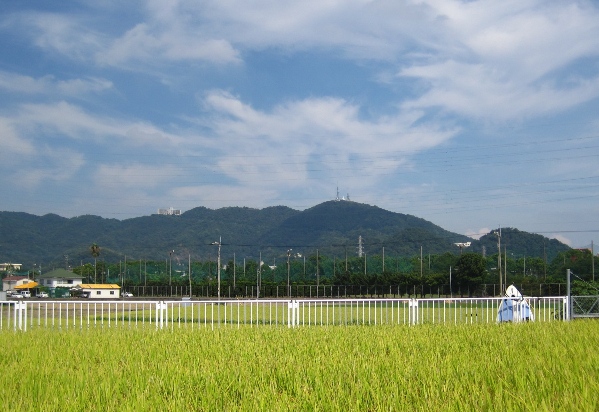 b0149340_2003023.jpg