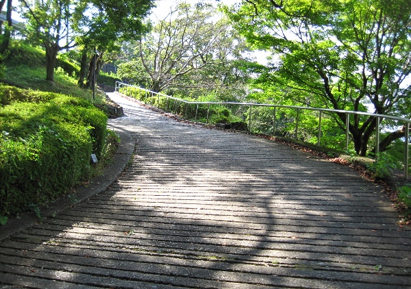 b0149340_20225248.jpg