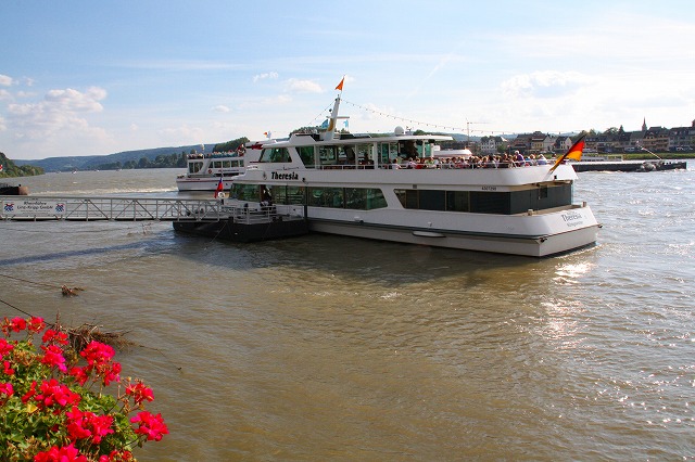 c0153740_1748971.jpg