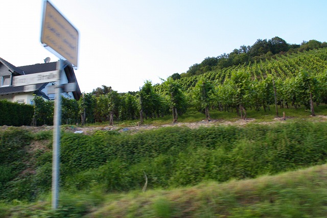 c0153740_175773.jpg