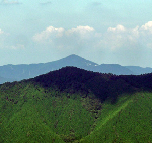 e0110940_0133039.jpg