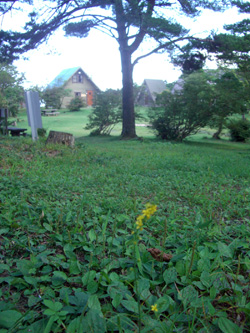 e0110940_0283162.jpg