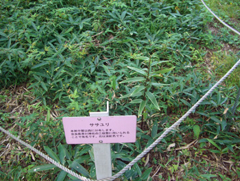 e0110940_074039.jpg