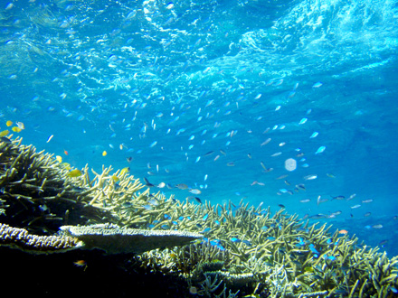 f0014842_19292176.jpg