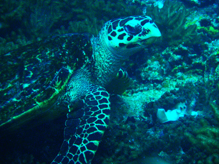f0014842_1941329.jpg