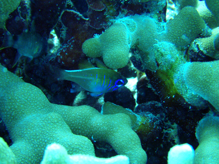 f0014842_19433679.jpg