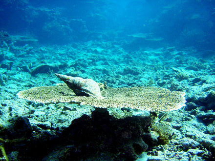 f0014842_1948865.jpg
