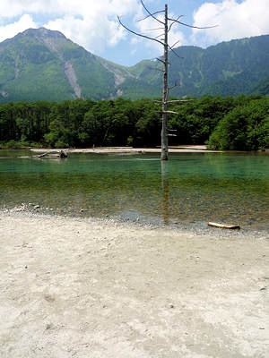 d0039443_144341.jpg