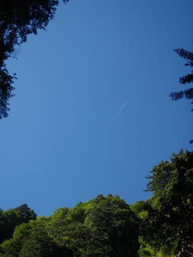 b0177355_19575620.jpg