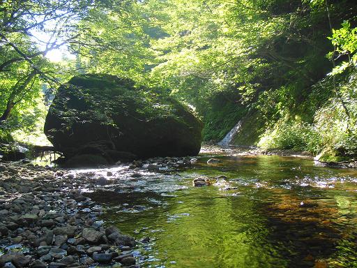 b0177355_2033050.jpg