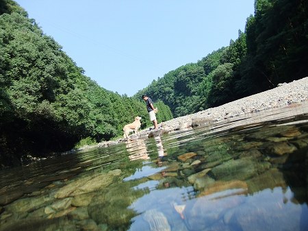 c0097558_14505953.jpg