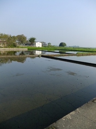 c0097558_2354253.jpg