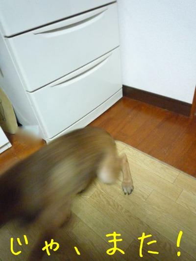f0177261_1253520.jpg