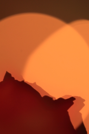 b0091164_9385326.jpg