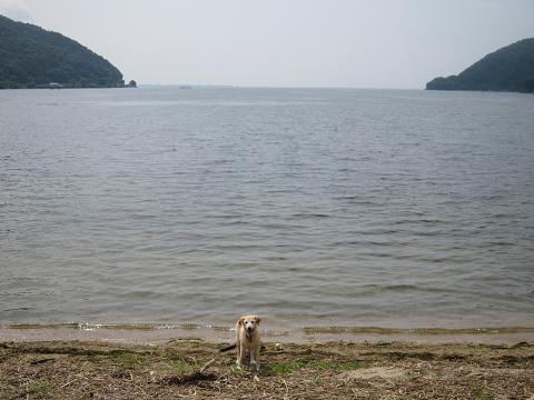 d0120665_1115955.jpg
