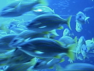 d0078172_206191.jpg