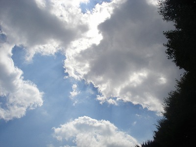 f0123373_217539.jpg