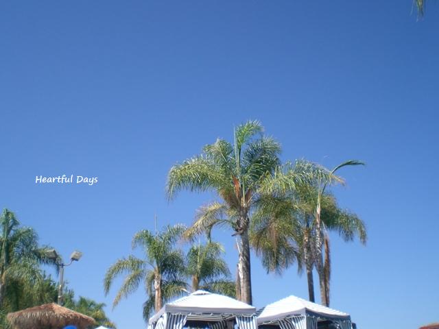 c0187677_1729411.jpg