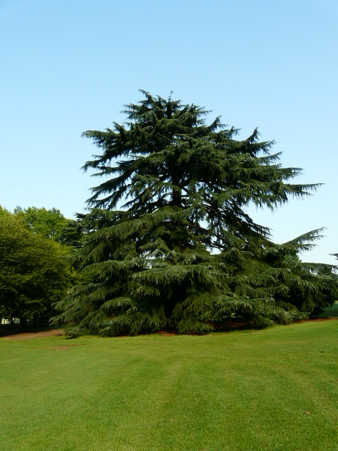 e0145782_17103064.jpg