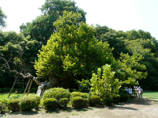e0145782_1722276.jpg