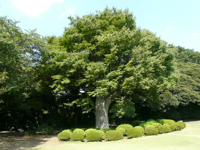 e0145782_1743244.jpg