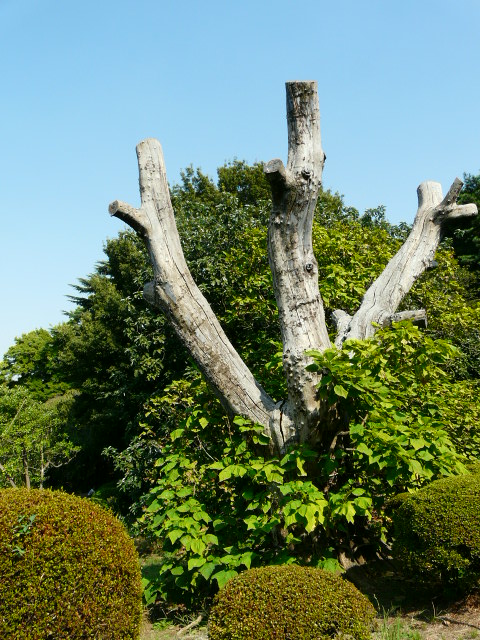 e0145782_178548.jpg