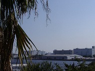 a0142083_21543725.jpg