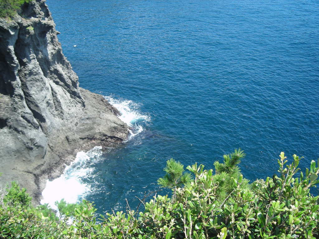 b0154783_2384786.jpg